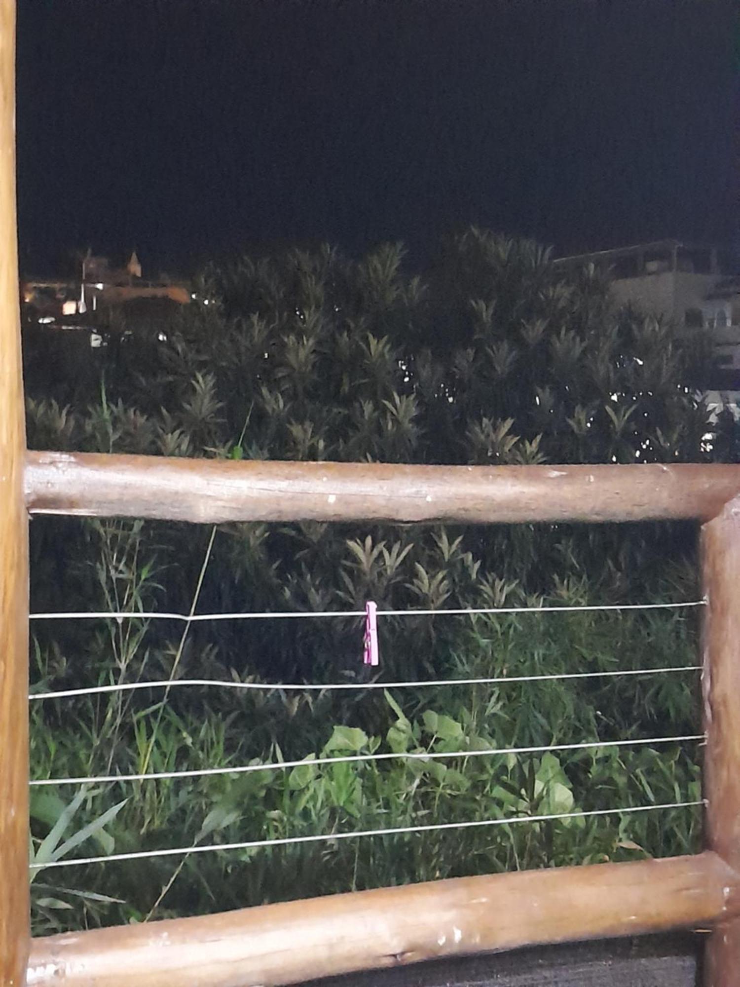 Appartamento Chale Bambu3 Cunha Esterno foto